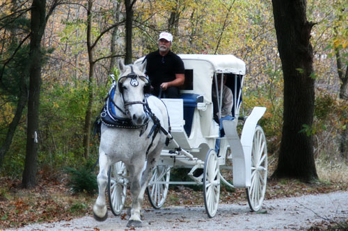 Horse-drawn carriage rides at Hensler's