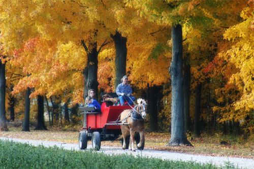 Horse-drawn carriage rides at Hensler's