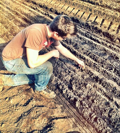 Summer Intern learning planting Poplar seeds