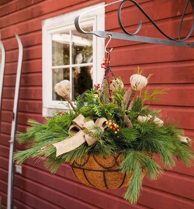 Holiday Hanging Basket