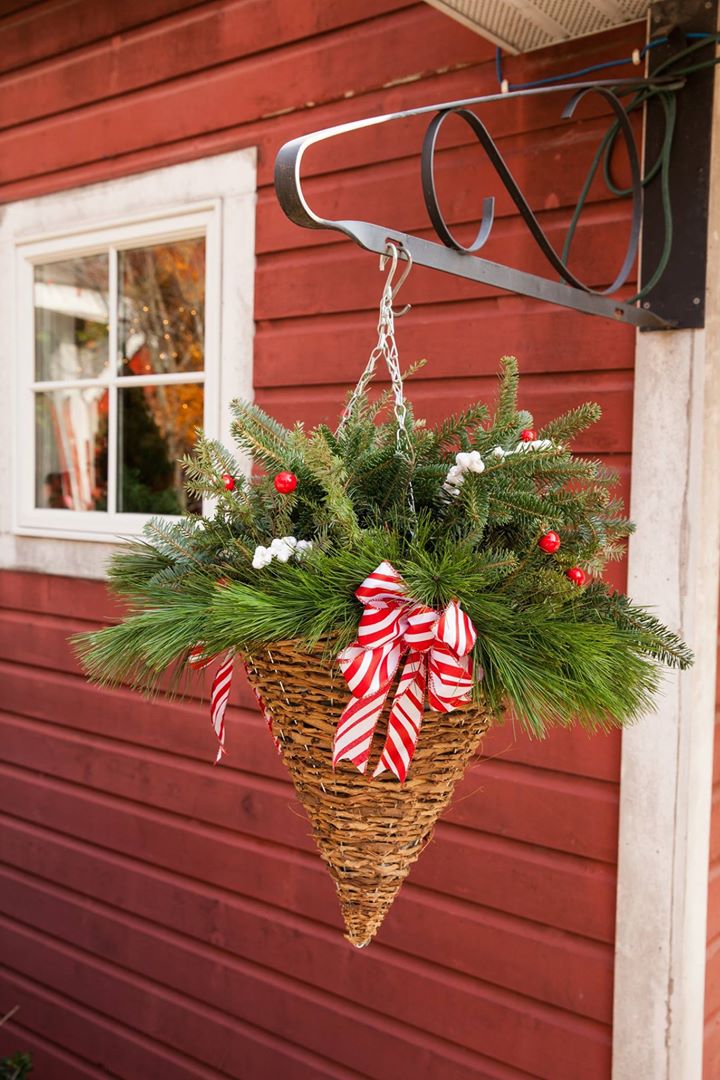 Handmade hanging basket of fresh Christmas greenery