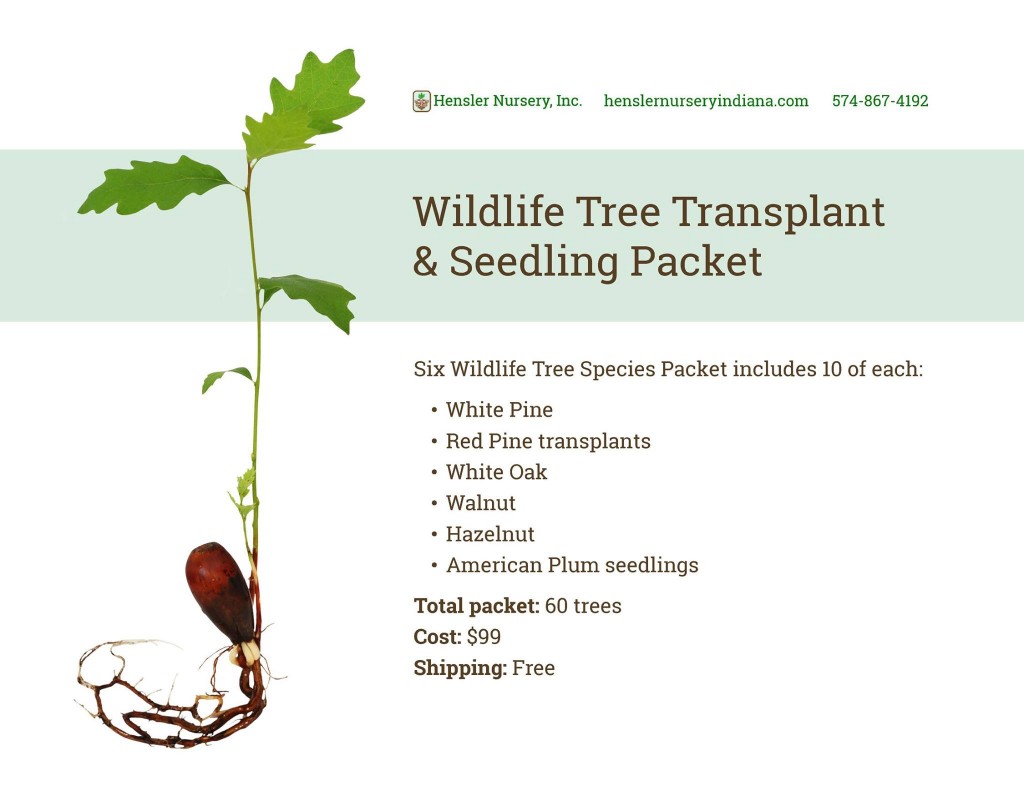 Wildlife Tree Transplant and Seedling Packet
