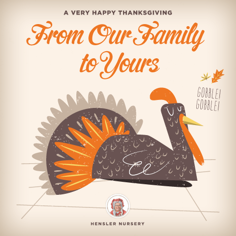 Thanksgiving Card 2015