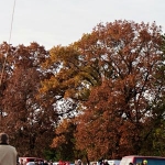 pumpkin-drop-2010_011