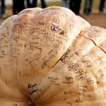 pumpkin-drop-2010_019