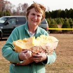 pumpkin-drop-2010_058