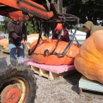 20121008-003