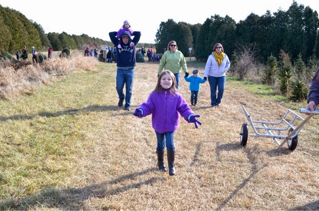 Family spends day at Christmas tree farm