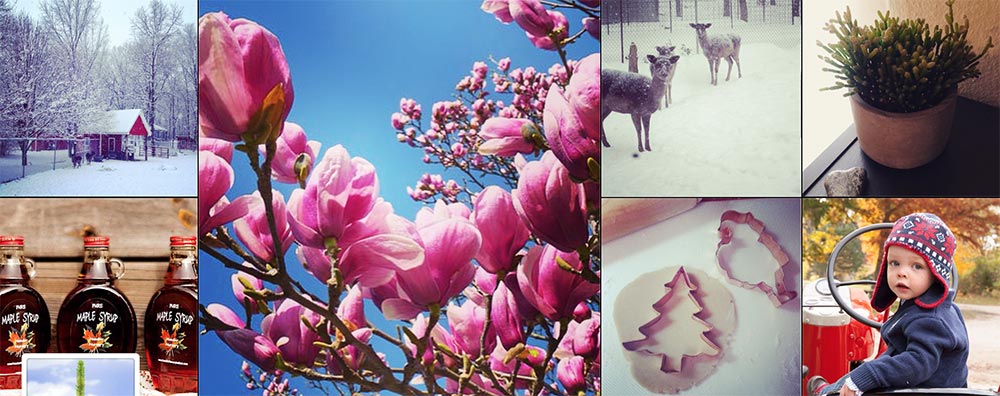 Hensler Nursery on Instagram