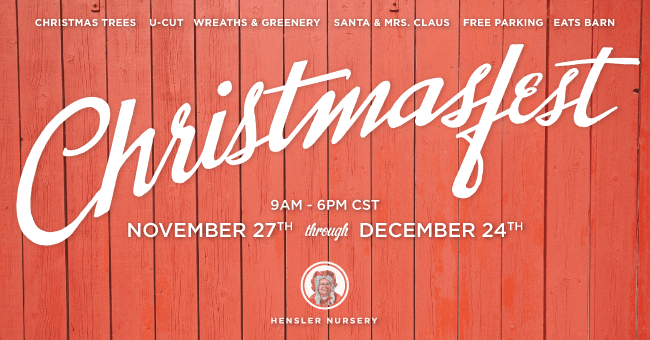 Christmas Fest 2015